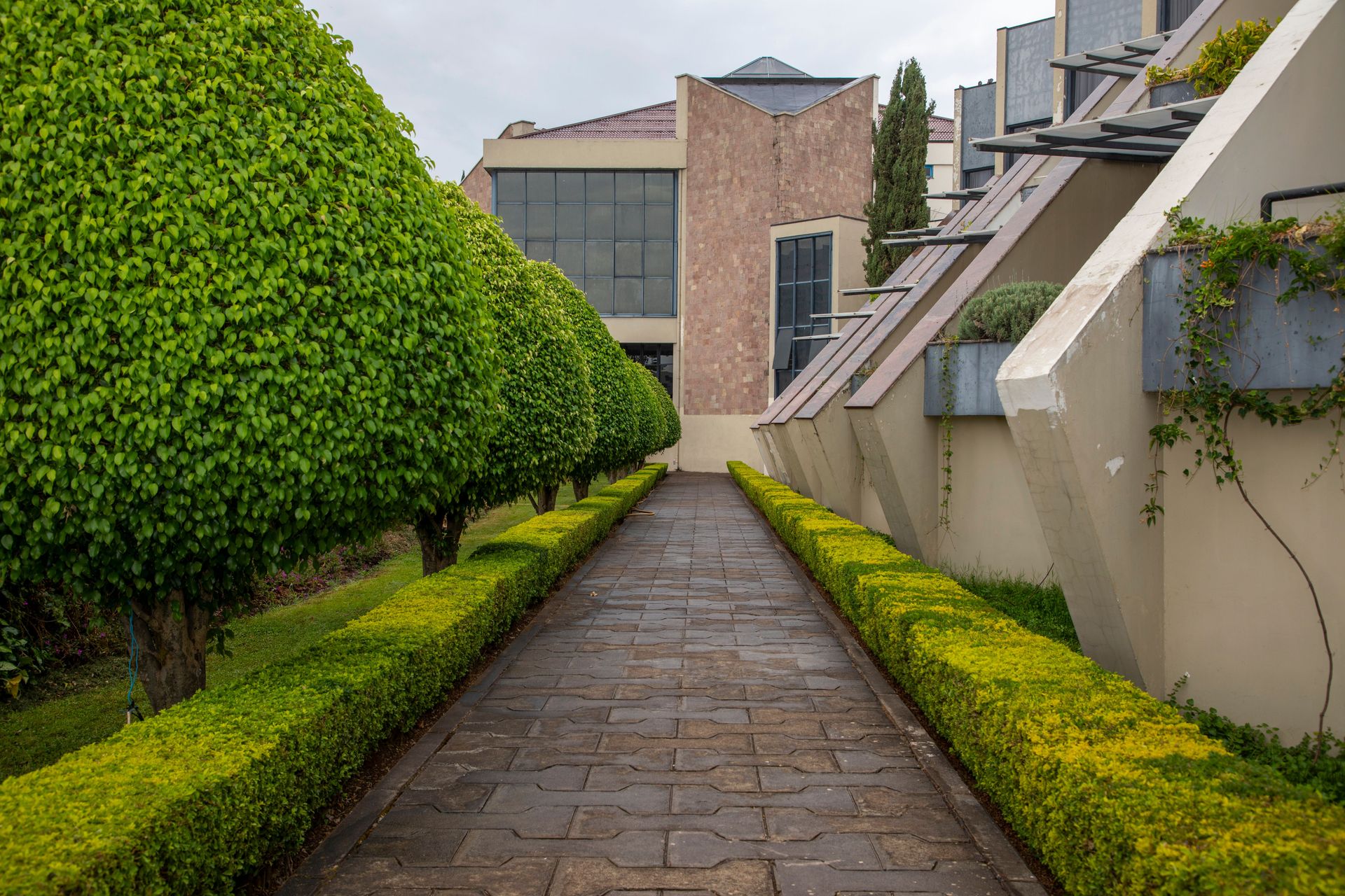 Modern building with manicured shrubs and pathway leading towards it, showcasing architecture and landscape design.